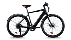 Velomad Sport 2