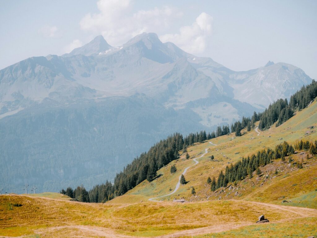 unsplash C6QCRK8Wnbc