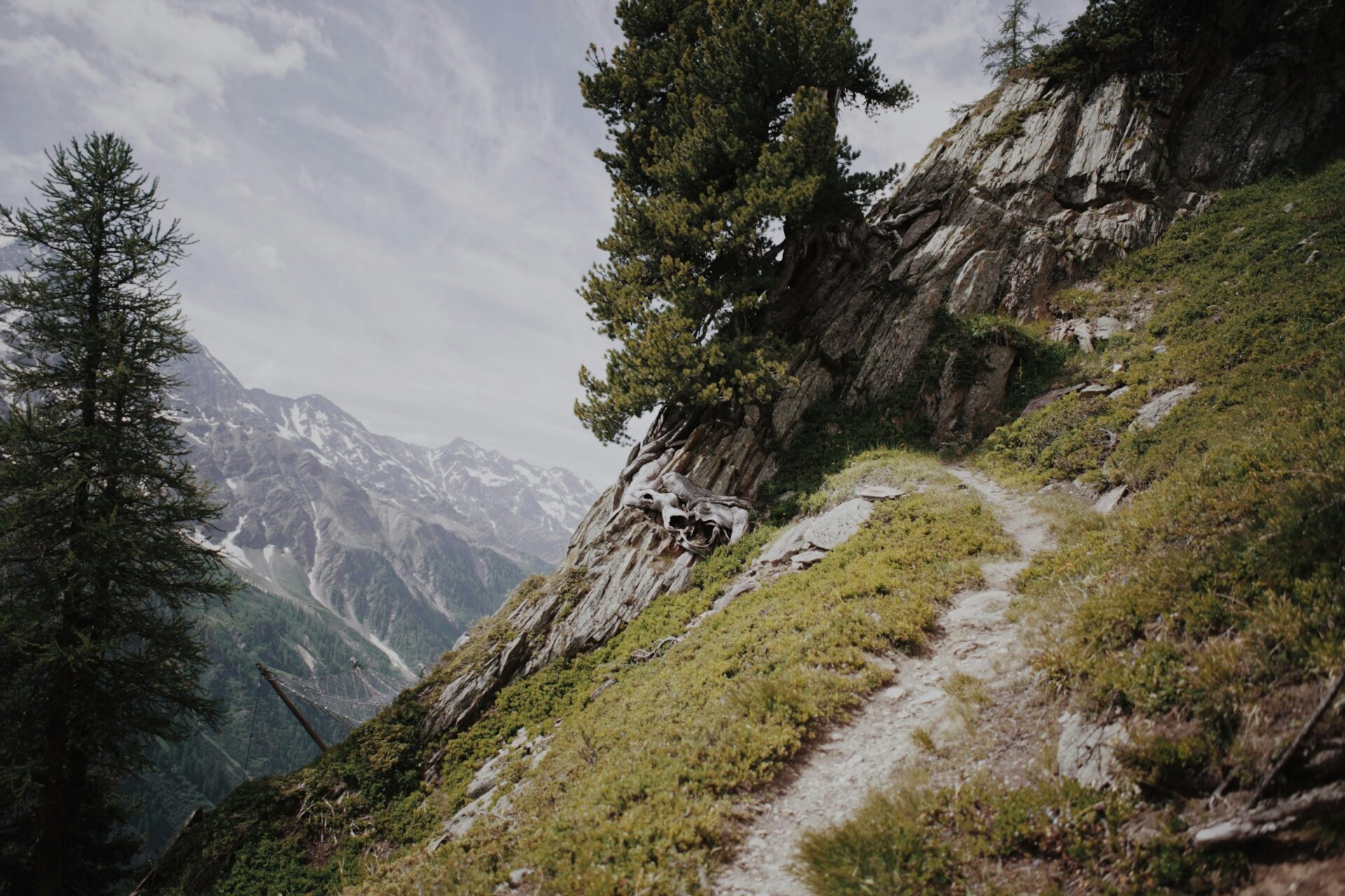 unsplash PndXlsXXPag